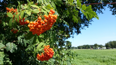 Bier & Bes wandelroutes Bier & Bes wandelroutes