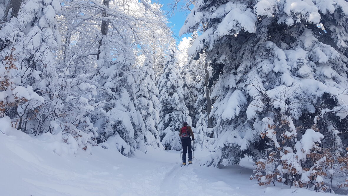 Het nieuwe jaar is goed begonnen!